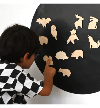 gioco magnetico in legno - animali della foresta per bambini da 3 a 9 anni - Ferflex